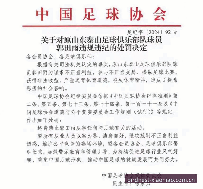 中国足协第三批禁足名单详解：65人受罚，17人终身禁赛