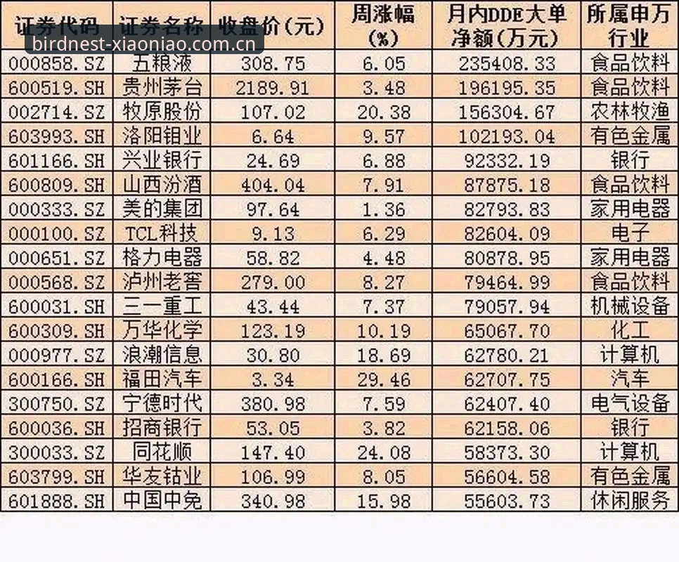 中国足协第三批禁足名单深度解析：65人受罚背后的行业震荡全景分析